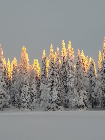 Villa Maria Ruka Kuusamo Finland: Winter landscape